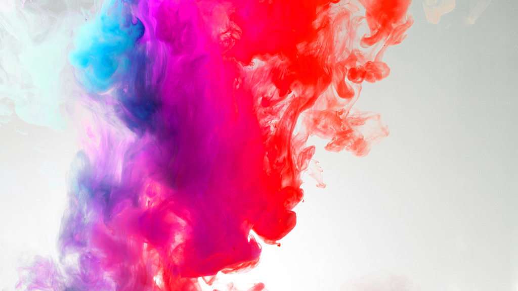 Paid Media Strategist